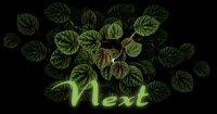 pepernext.gif (12408 bytes)