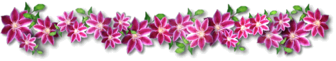 CM-bar(1).gif (25540 bytes)